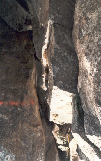 ../Images/189Myvatn Grenze Amerika Europa.jpg